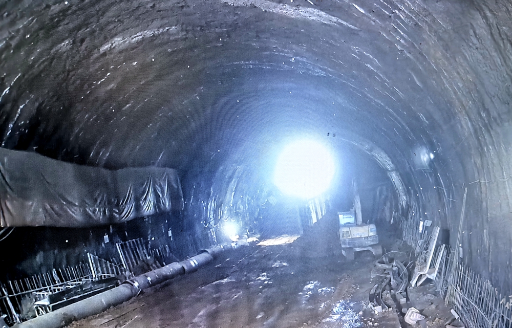 图1_副本 图1_副本