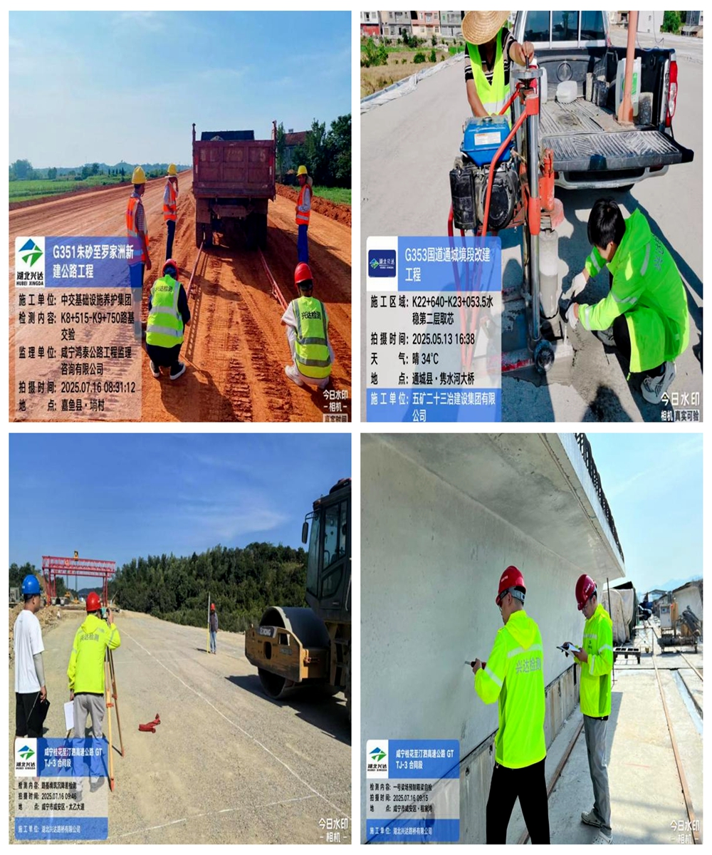 图1_副本 图1_副本