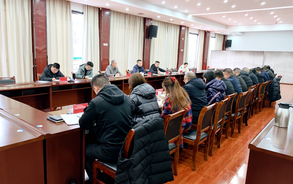 图1_副本 图1_副本